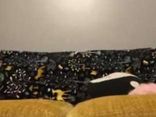 cookiescreamyxo thai cam porn
