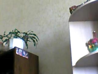 alisawonders caramel kitten cam videos