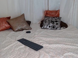 annydavis nude live sex video chat • PornOrgasmPro
