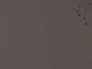 mandyy-meraky Porn