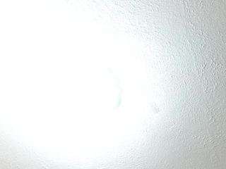 amberr-18 nude Cam, Photos, Videos & Live Webcam Chat - Free Live ...
