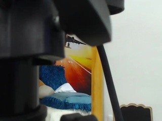 charlotte-sixx1 Porn