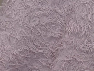 diannejain Porn
